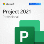 Microsoft Project Professional 2021