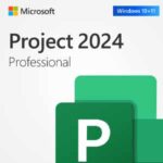 Microsoft Project Professional 2024